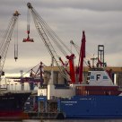 Cranes
